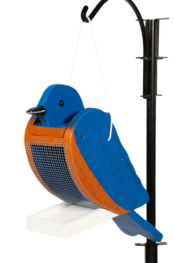 bluebirdfeeder1 1920w scaled