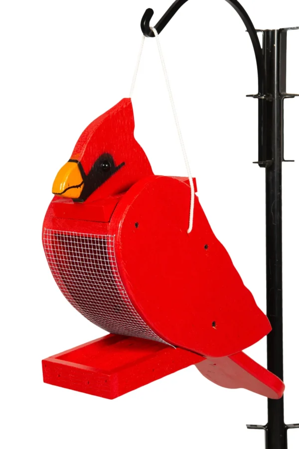 cardinalbirdfeeder 25cce531 1920w scaled