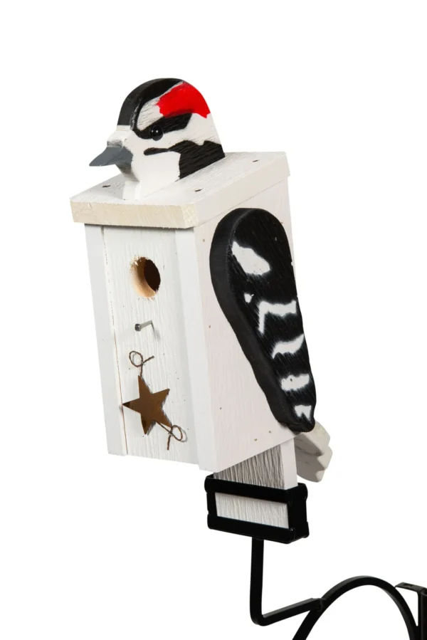 downywoodpeckerbirdhouse bc508233 1920w 1 scaled