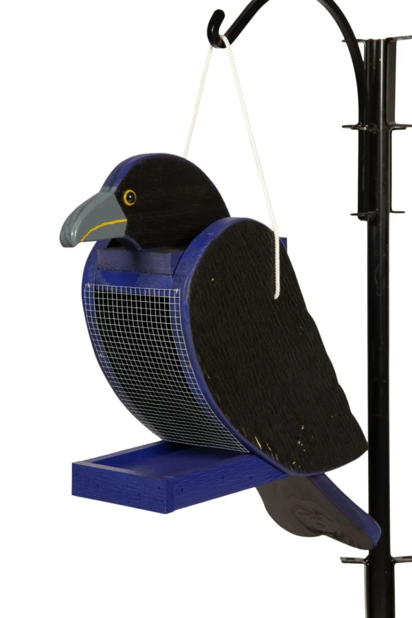 ravenbirdfeeder cc4c94ac 1920w scaled